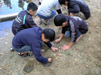 田んぼの畦土を埋め込む