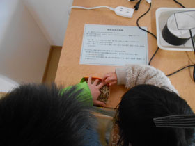 2 カヤネズミの巣