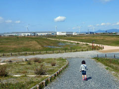 6 湿地