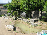 完成!後は生き物たちが住む場所として選んでくれるのを待つだけ。