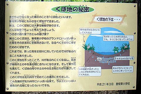 小学生にむけた説明看板(曽根東小学校)