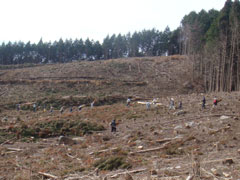 3.作業中全景
