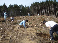 4.植付け作業中