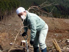 8.花粉症対策も万全