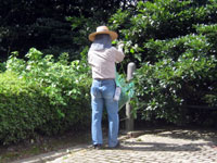 みんなを悩ますカズラを丁寧にとる専務理事ですよ。