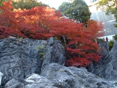 石山寺