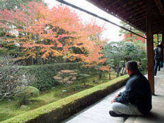 桂春院