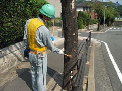 予備診断の打診音調査