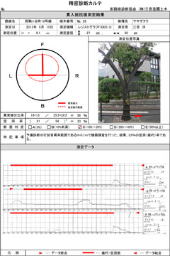 精密診断カルテ