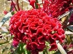 画像の説明 画像の説明