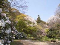 画像の説明 画像の説明