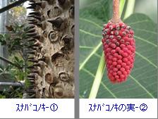 画像の説明 画像の説明