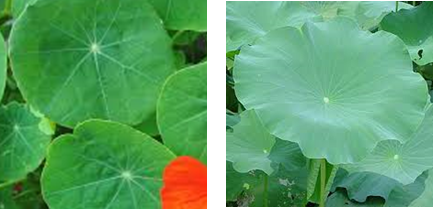 画像の説明 画像の説明