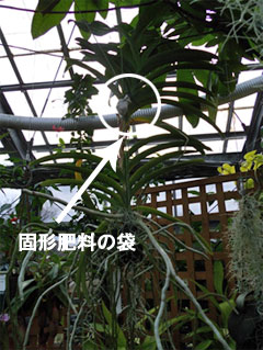 画像の説明 画像の説明