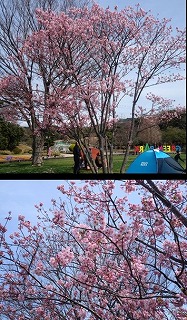 画像の説明 画像の説明