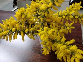 画像の説明 画像の説明